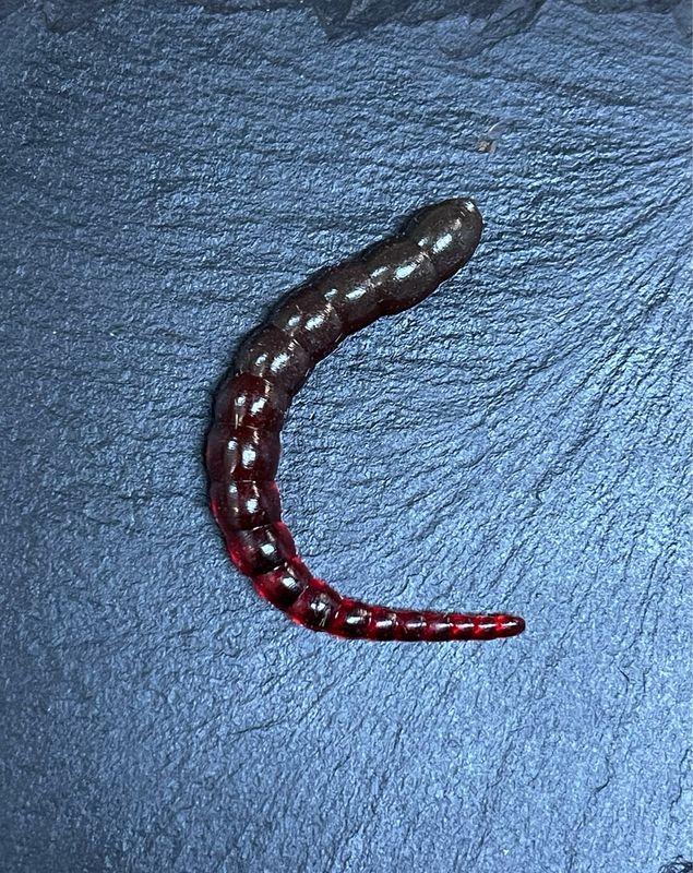 Cobra 6,5cm (Vamp)