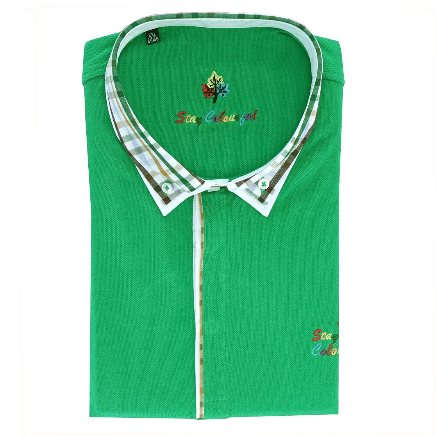 Green Button Down Check Collar Polo