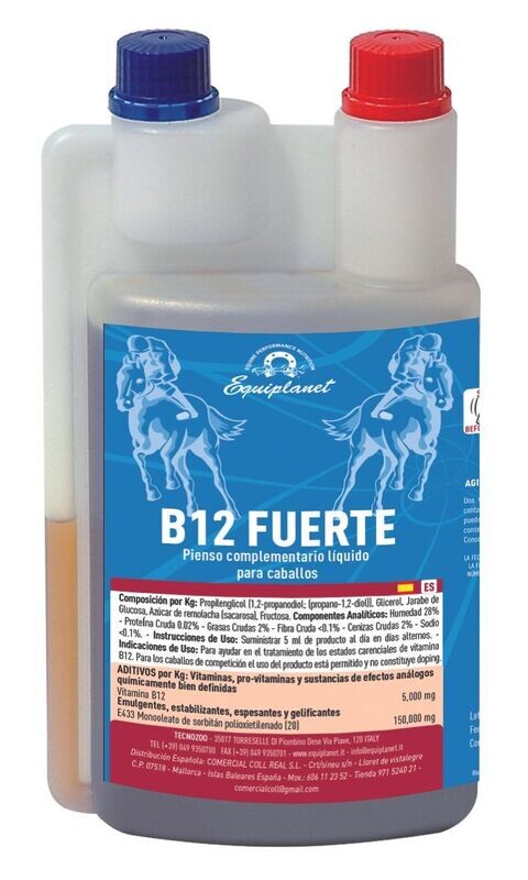 B 12 FUERTE