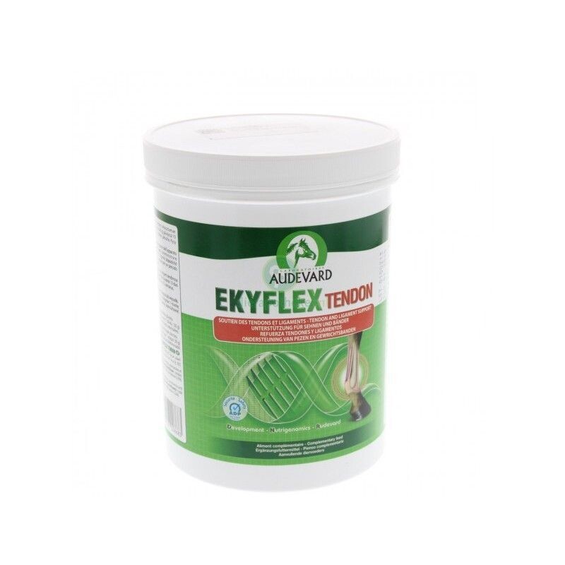 EKYFLEX REPAIR TENDON 600G AUDEVARD