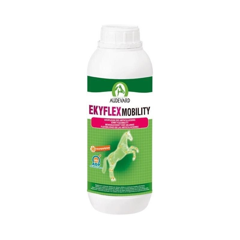 EKYFLEX MOBILITY 1 L. AUDEVARD