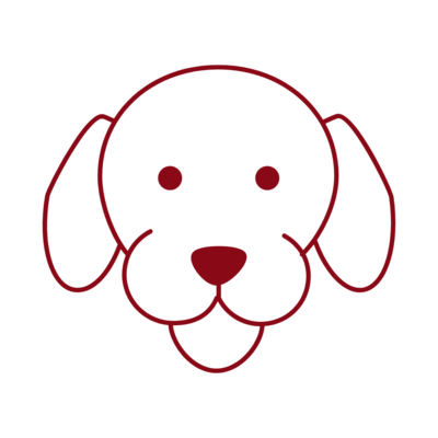 Cachorros