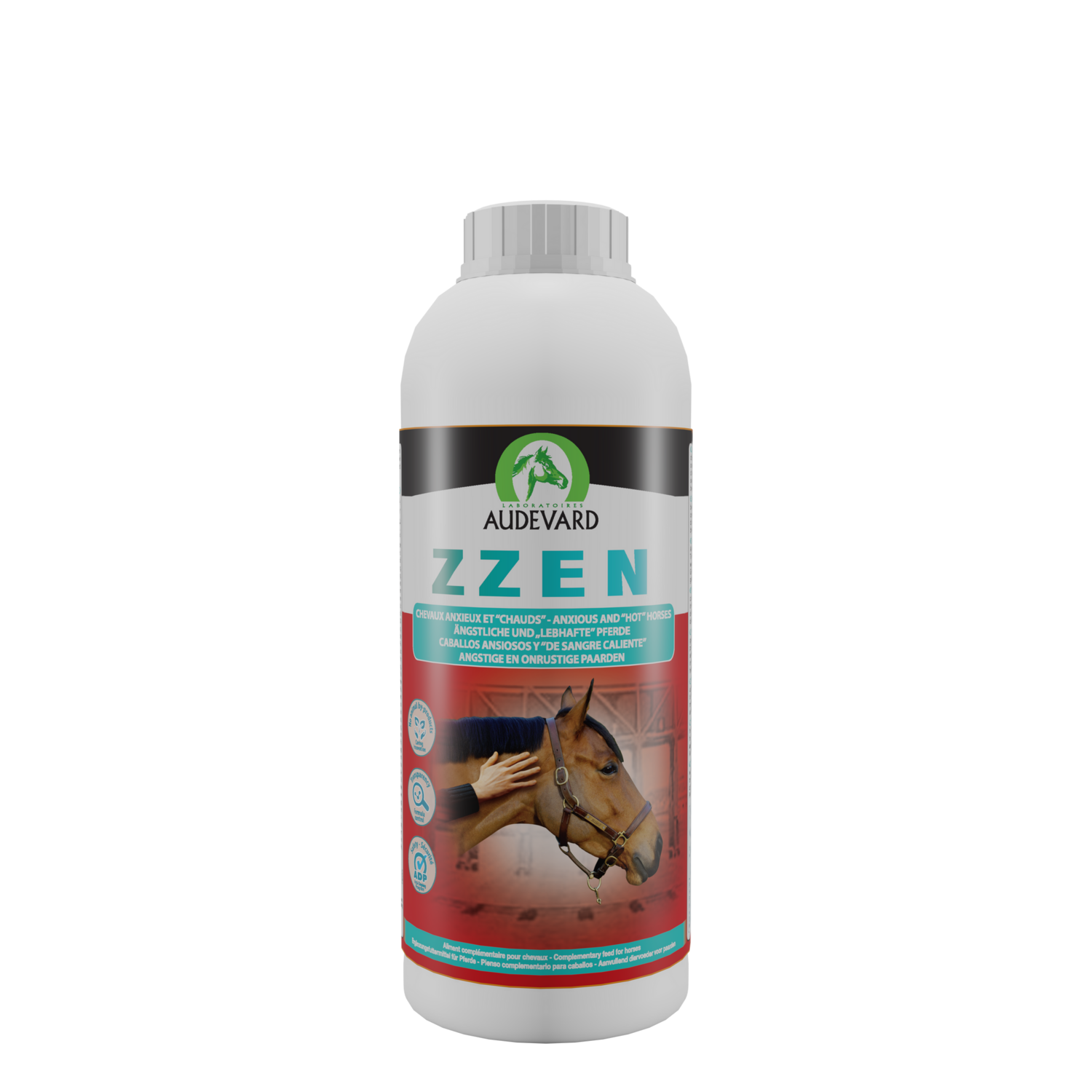 ZZEN  1L