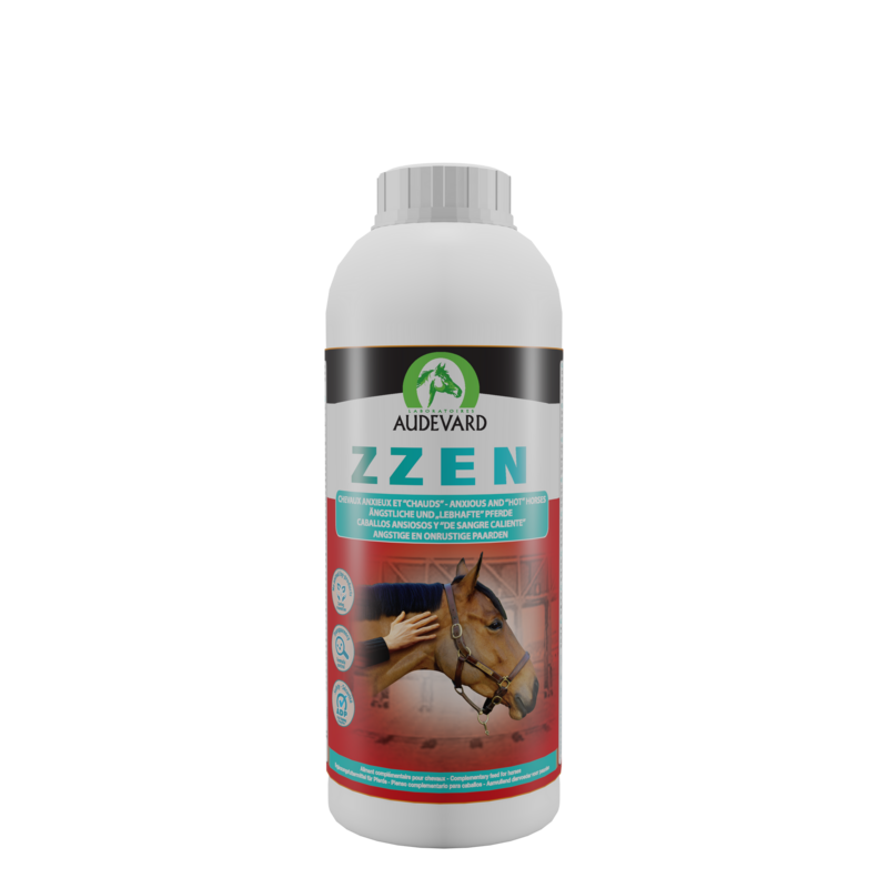 ZZEN  1L