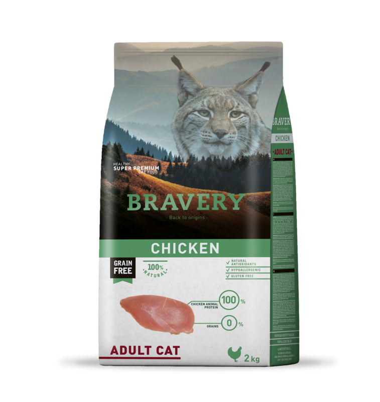 Bravery Chicken