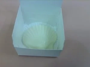 Large Chocolate Seashell in a small box