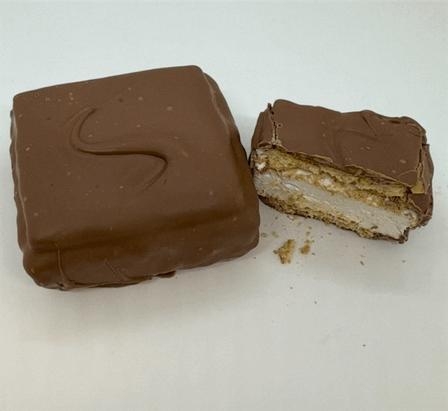 Chocolate Covered S’mores