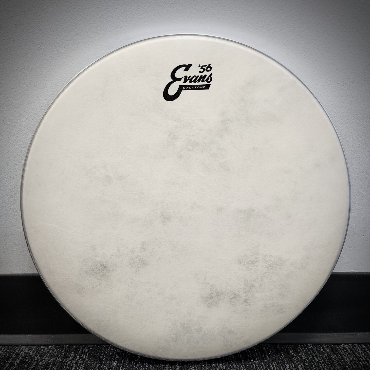Evans Calftone Tom Batter Head - 16"