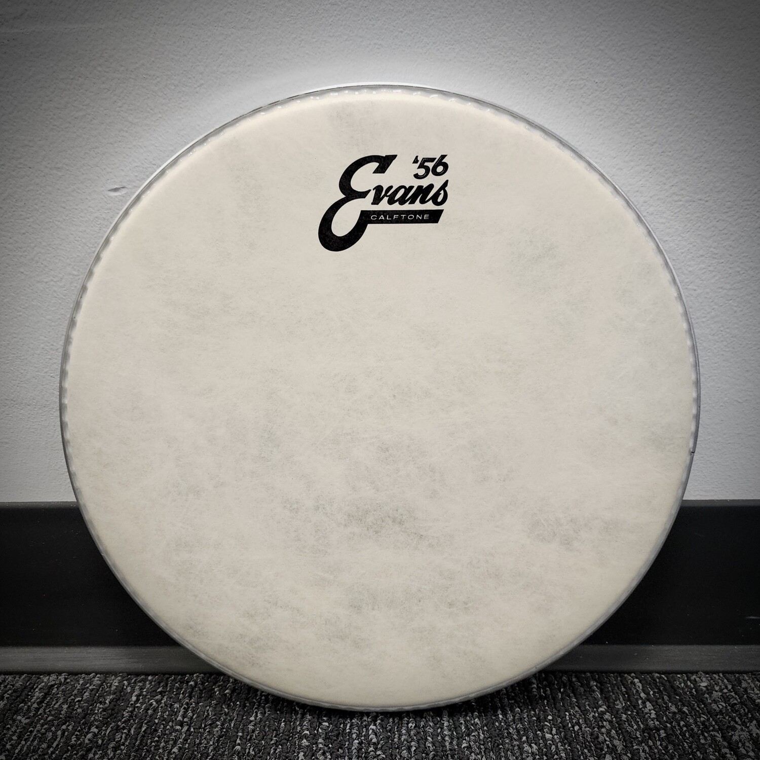 Evans Calftone Tom Batter Head - 12"