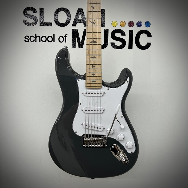 PRS SE Silver Sky - Overland Gray, Maple