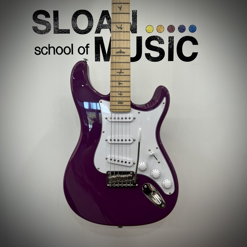 PRS SE Silver Sky - Summit Purple