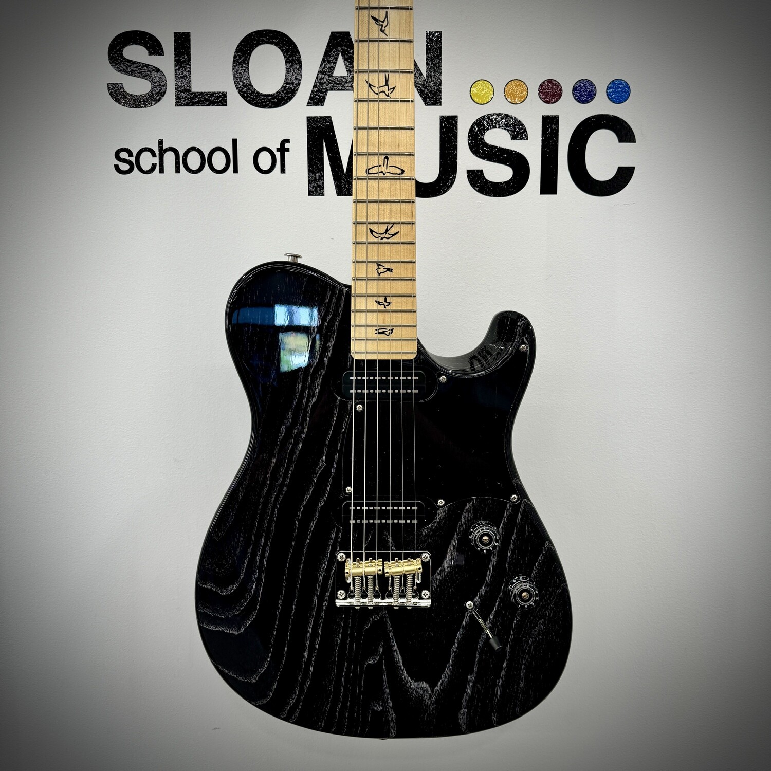 PRS NF 53 - Doghair