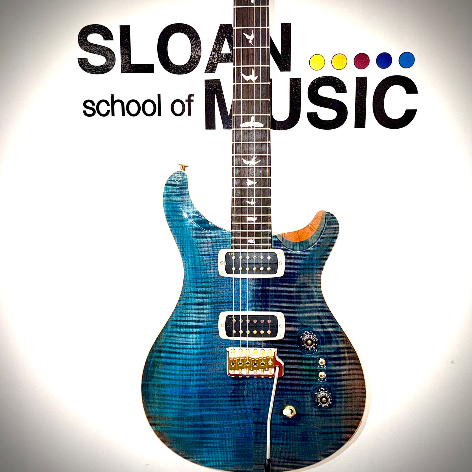 PRS Core Custom 24-08 10-Top - Carroll Blue