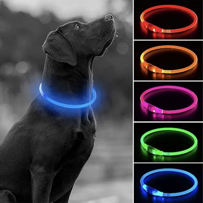 LED Safety Necklace