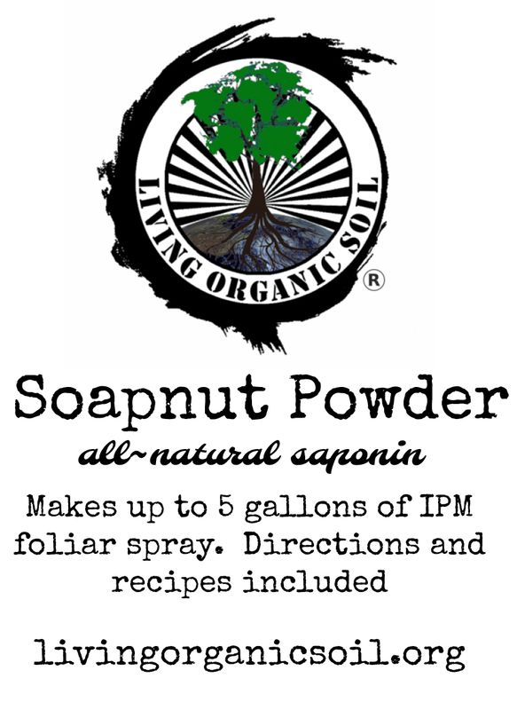 Soapnut Powder