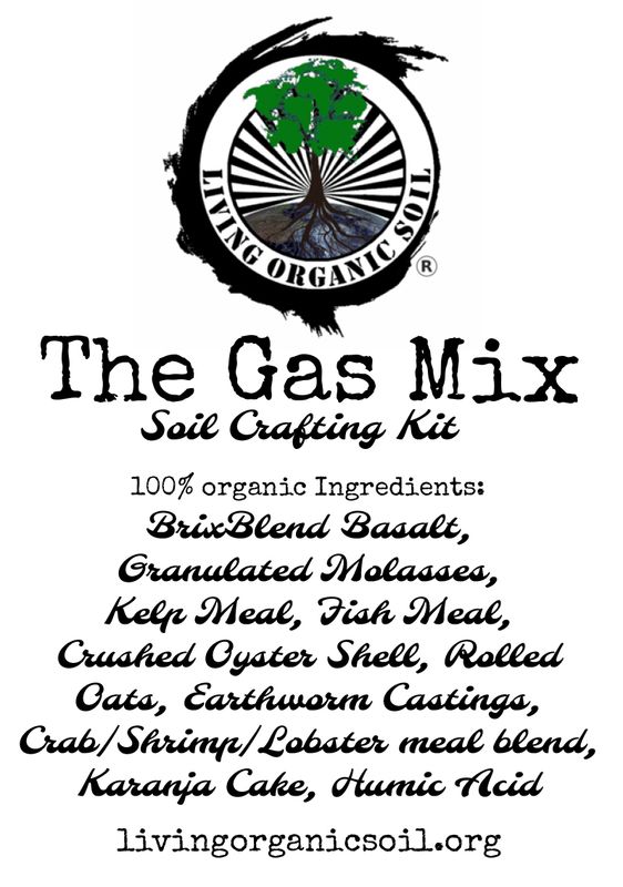 The Gas Mix™️- In Stock