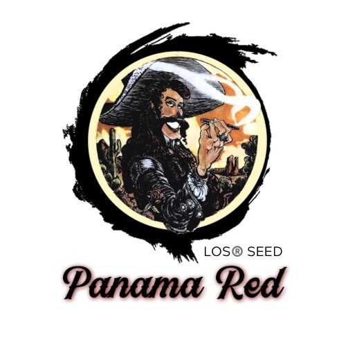 Panama Red