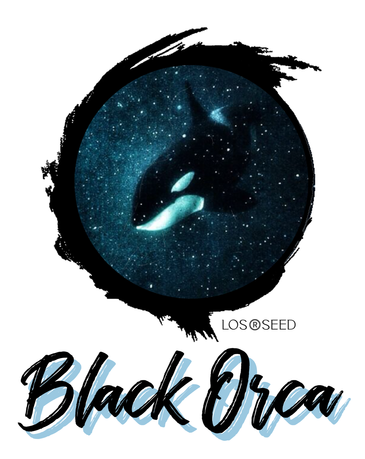 Black Orca™️