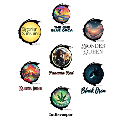 LOS SEED