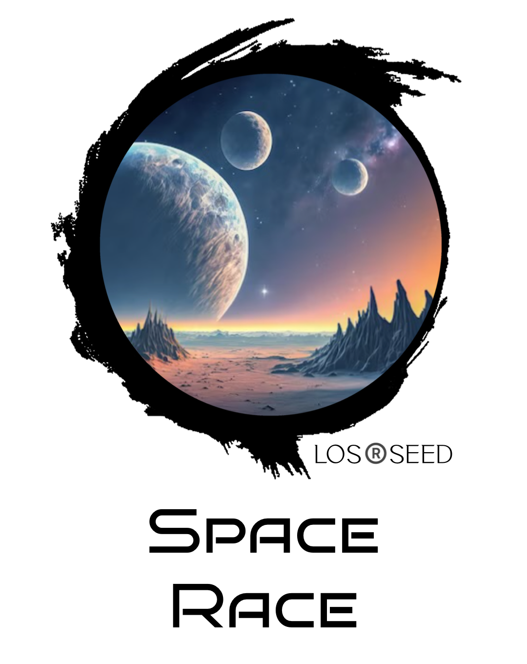 Space Race™️