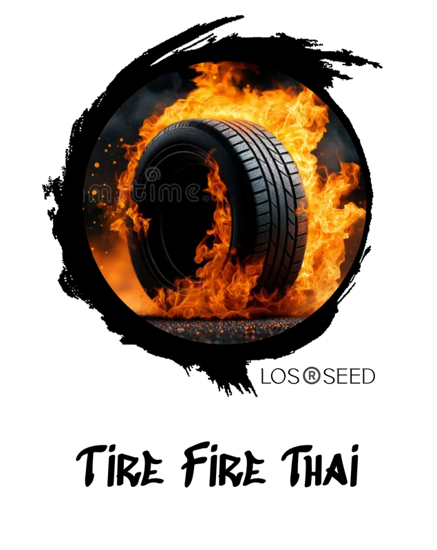 Tire Fire Thai™️