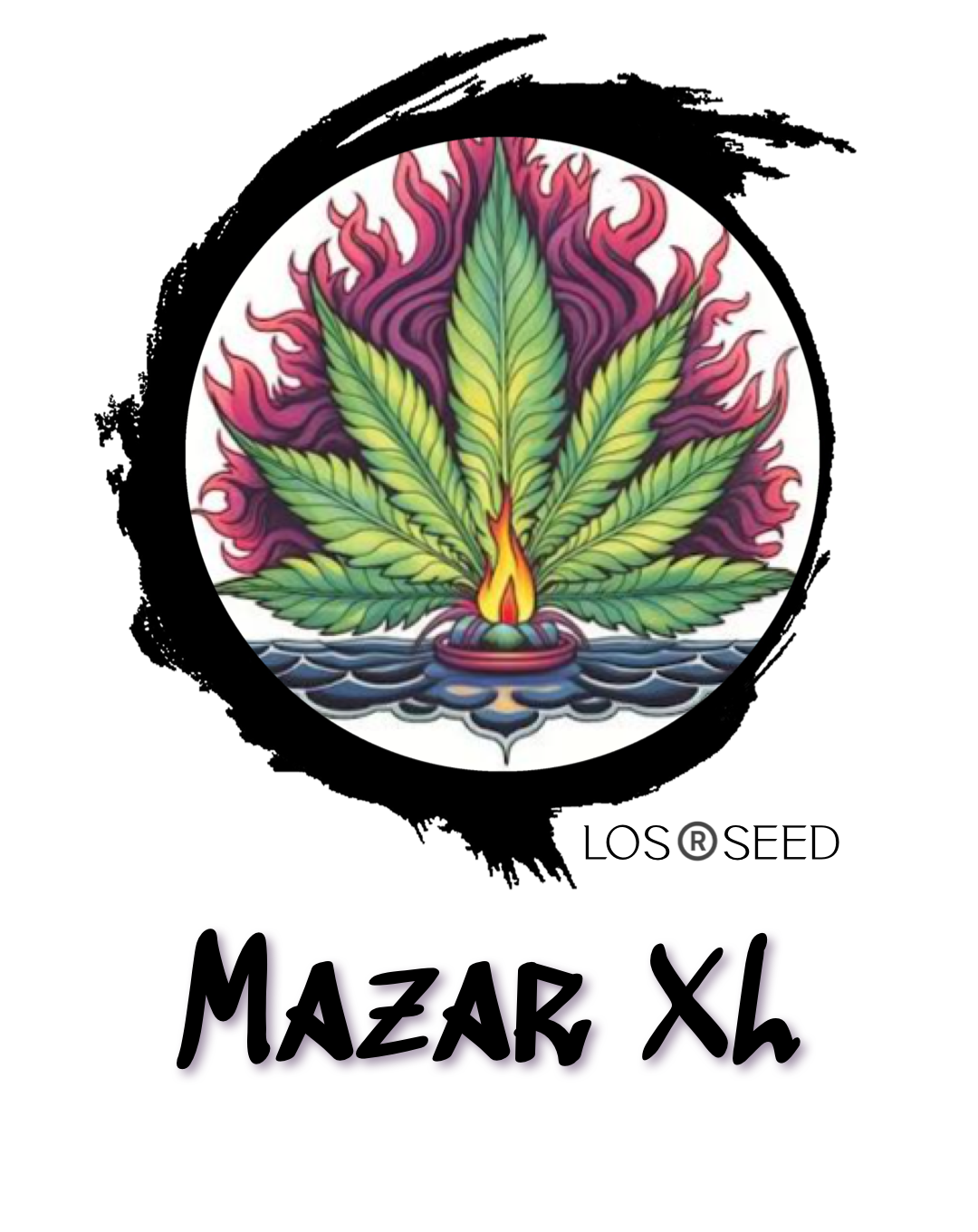 Mazar XL™️