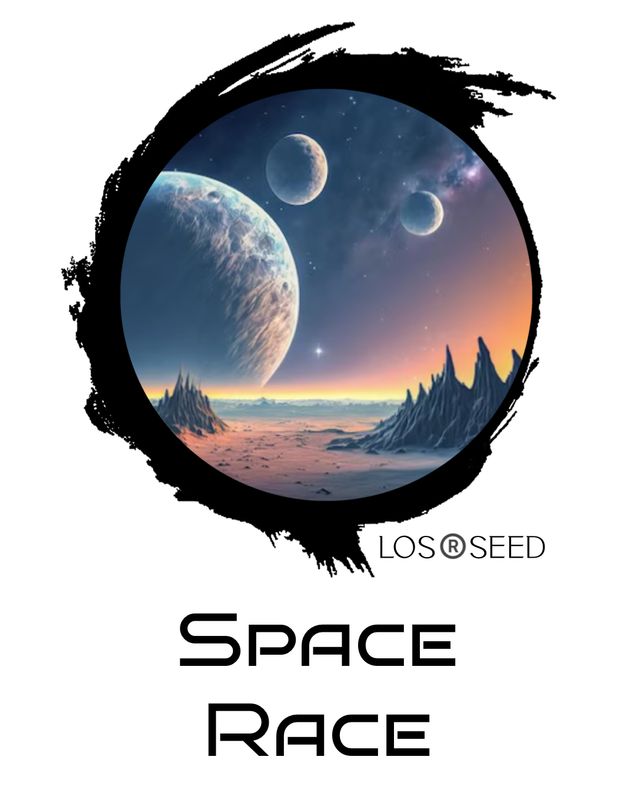 Space Race™️