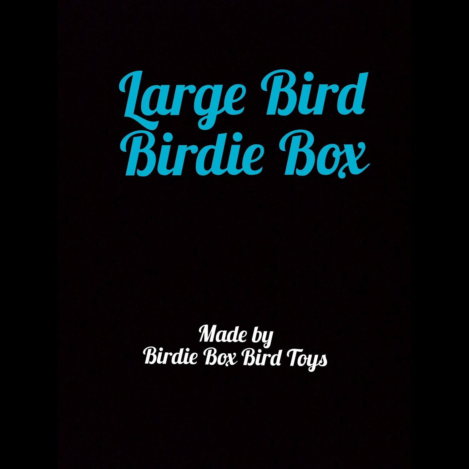 Large Birdie Box ( for large birds)