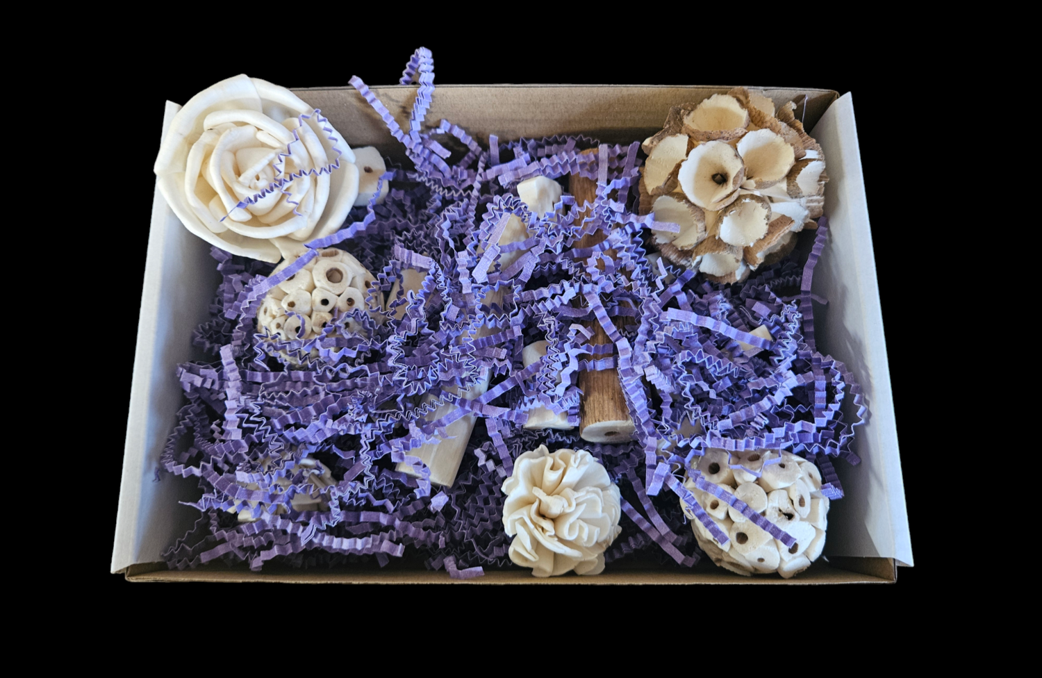 Foraging Tray, Type: Simply Sola