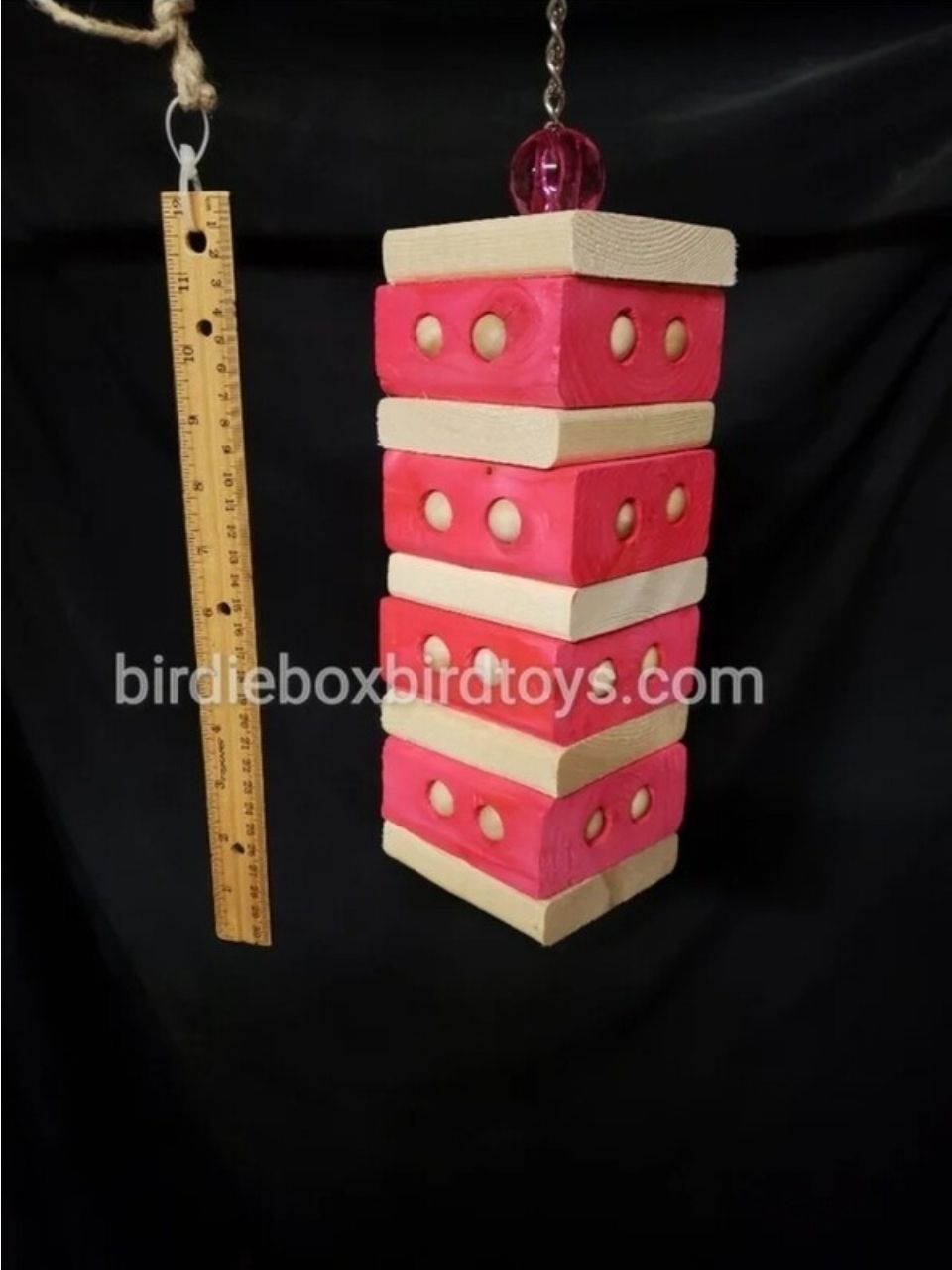 Large Bird Bundle