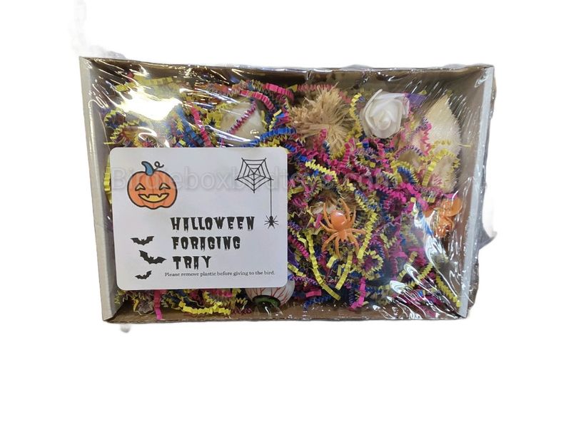 Halloween Foraging Tray ( limited edition)