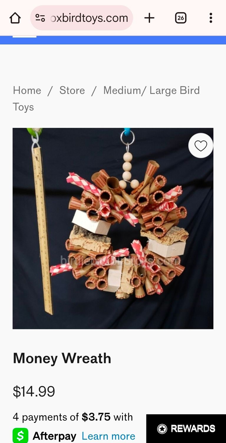 Large Bird Bundle ( Oct/Nov)