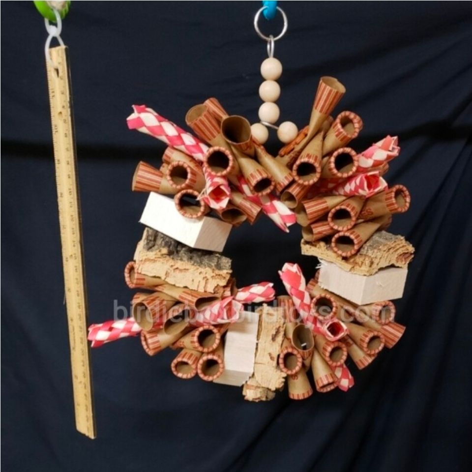 Large Bird Bundle ( Oct/Nov)