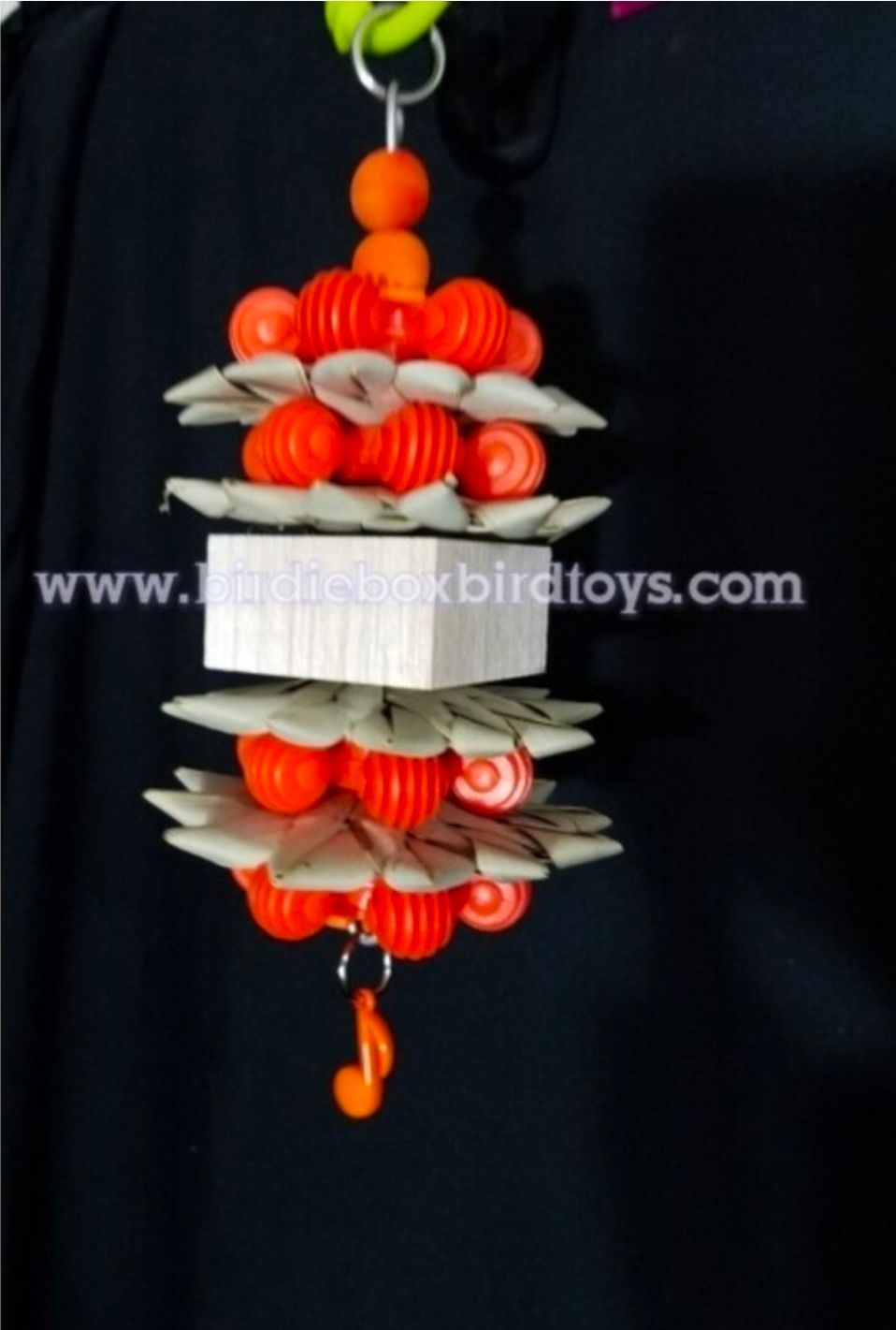 Small Bird Bundle ( oct/nov)