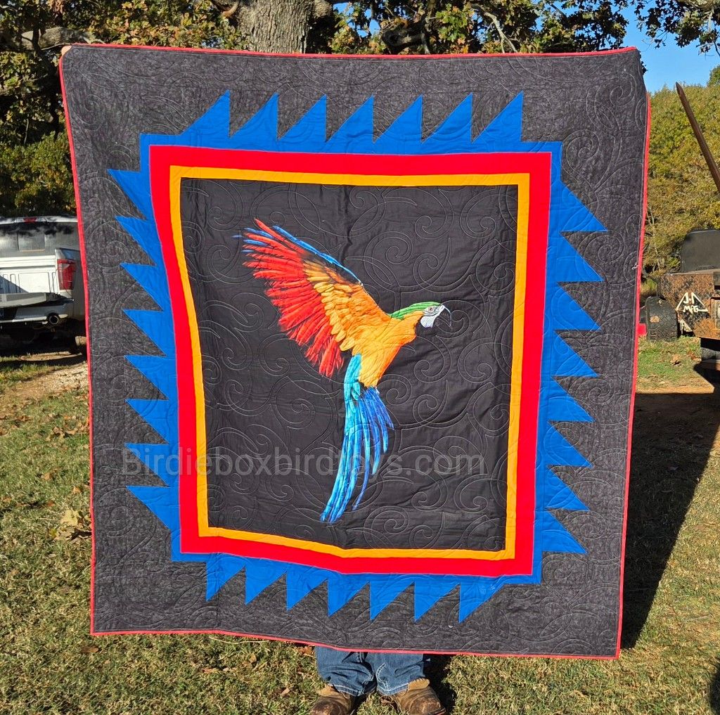 Raffle- Macaw quilt