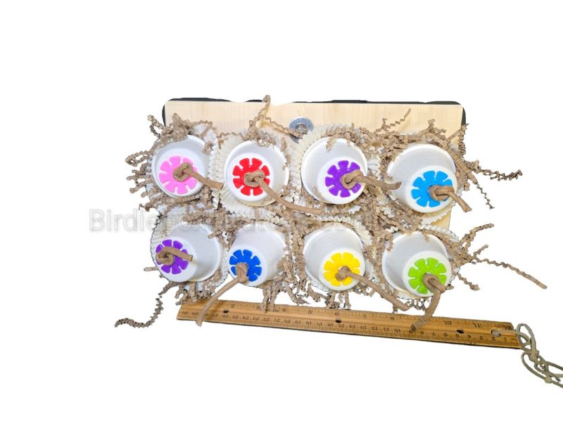 Smorgasbord ( cage mounted)