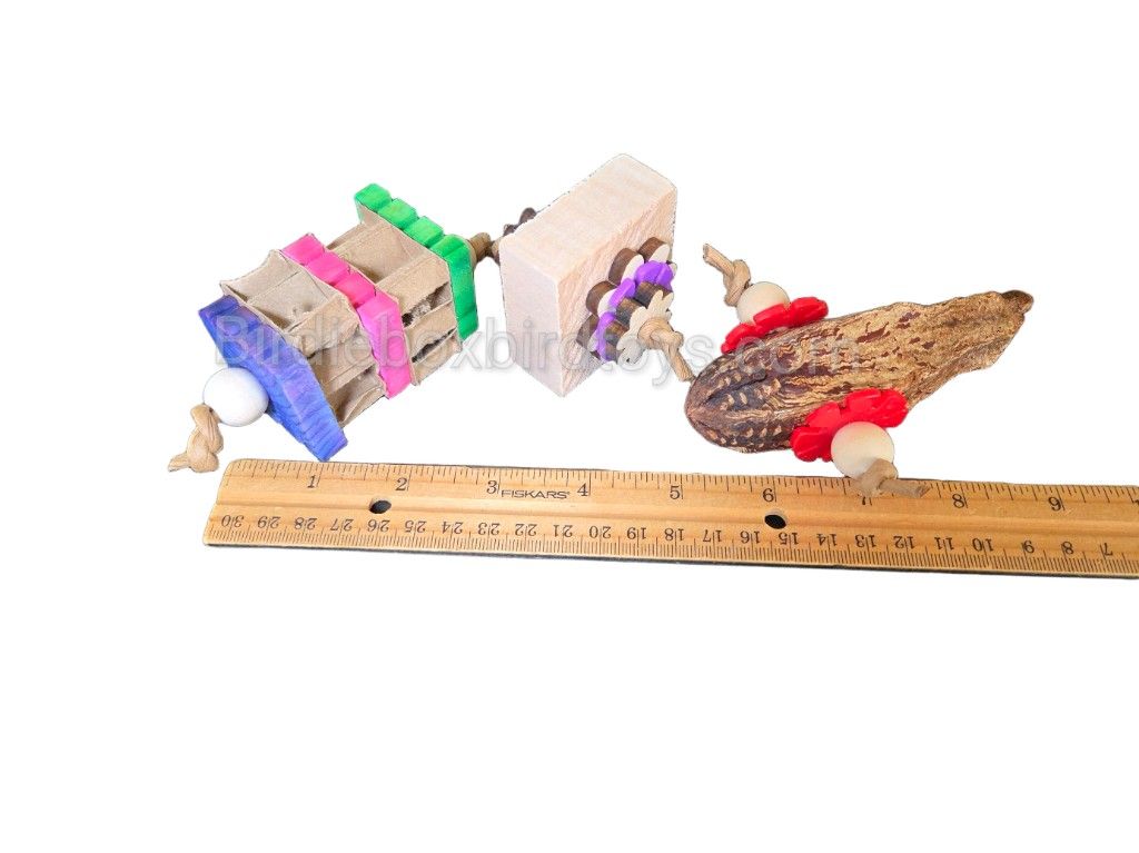 Medium Bird Footie Bundle ( 3 pk. )