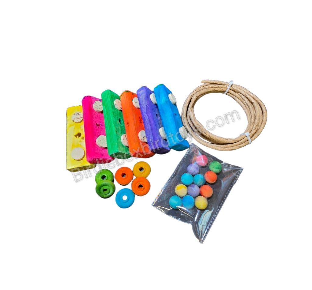 Hide -n- Seek Refill Kit