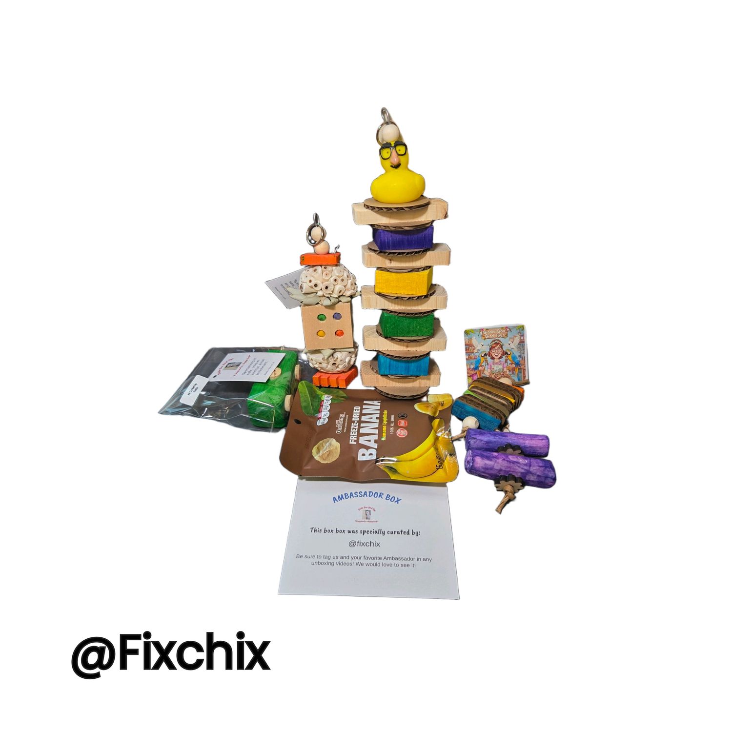 Fixchix Ambassador Box