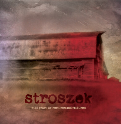 stroszek - wild years of remorse and failures [2CD]