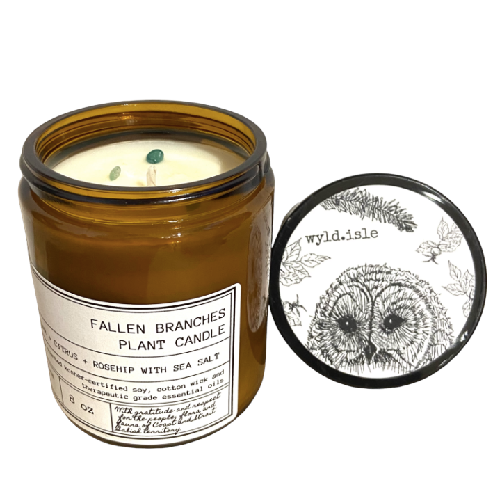 Plant Candle - 40+ hr - 8oz - Fallen Branches