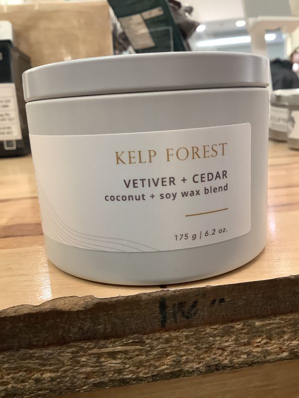 Candle - 50 hr - Kelp Forest