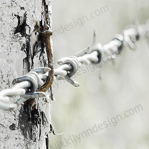 Farmhouse Rural Barbed Wire Country (You Print)