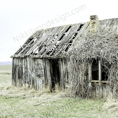 Farmhouse Rural Grass Barn Square Print (I print free S/H)