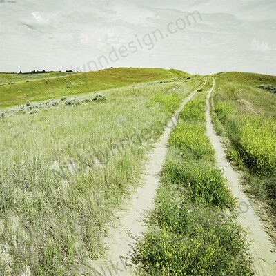 Farmhouse Rural Trail Square Print (I print free S/H)
