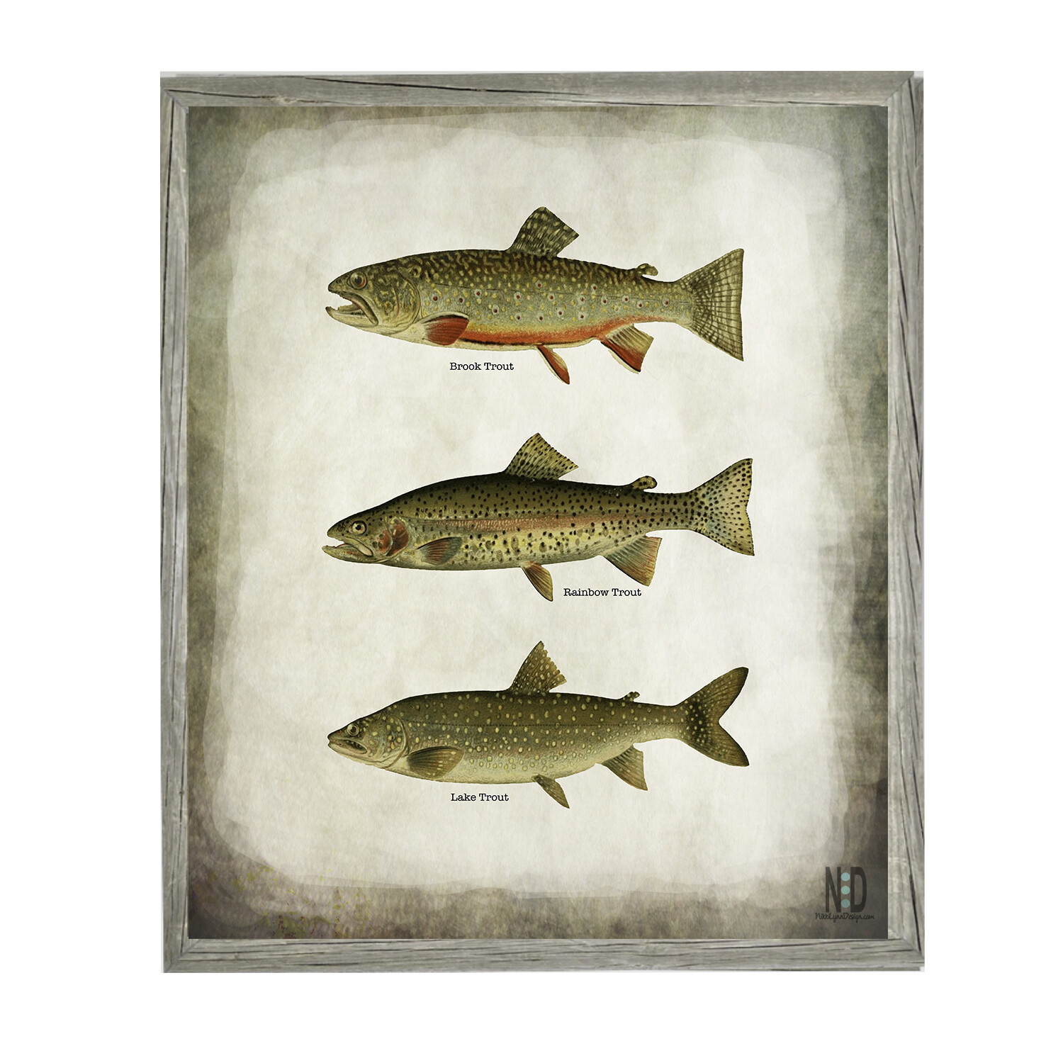 Brook Rainbow and Lake Trout Fish Fishing Wall Art Digital Download Prints Up To 30x20