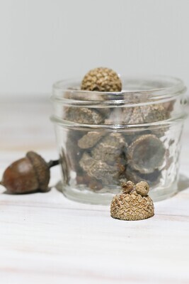 50 Acorn Caps Tops For Fall Craft Projects