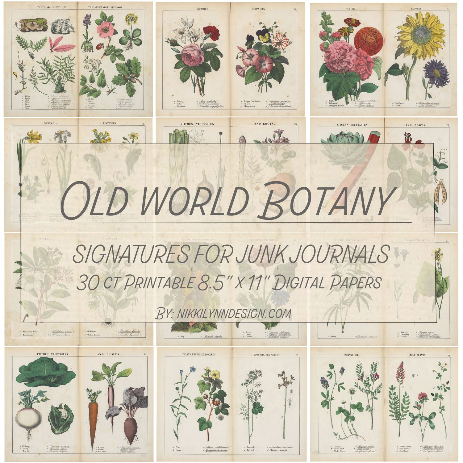 Elevate Your Junk Journals with 30 Unique Nature &amp; Plant Digital Pages – Instant Download  8.5&quot; x 11&quot;