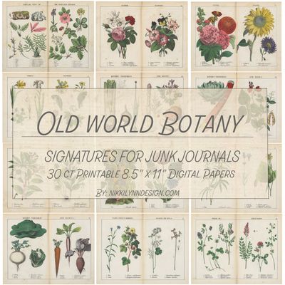 Elevate Your Junk Journals with 30 Unique Nature &amp; Plant Digital Pages – Instant Download  8.5&quot; x 11&quot;