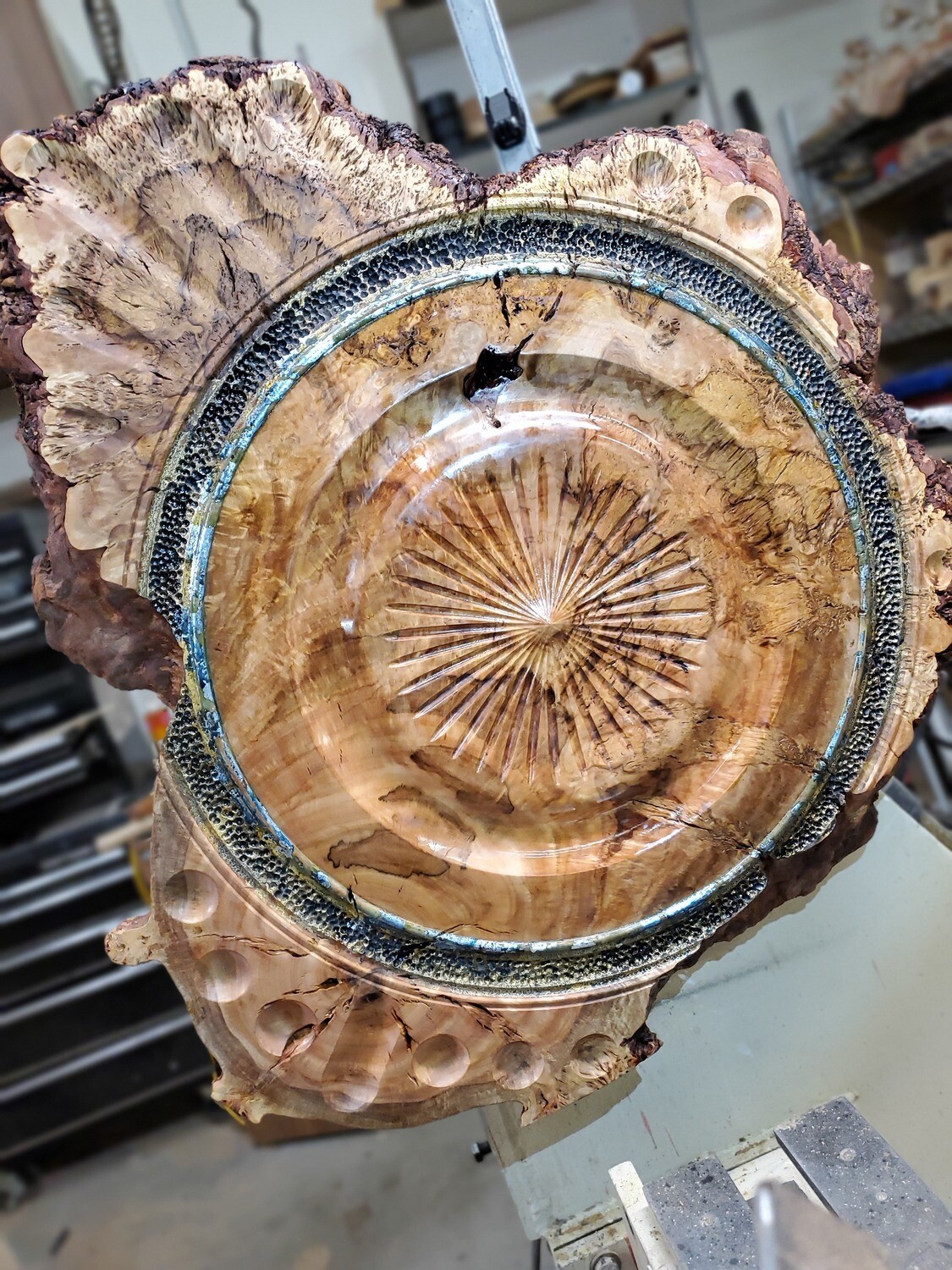 Maple Burl wall art